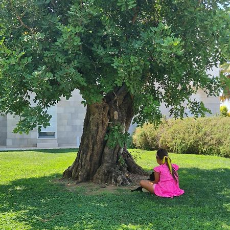 אוג'אנו לה קייזה I Mestri Holiday Homes מראה חיצוני תמונה